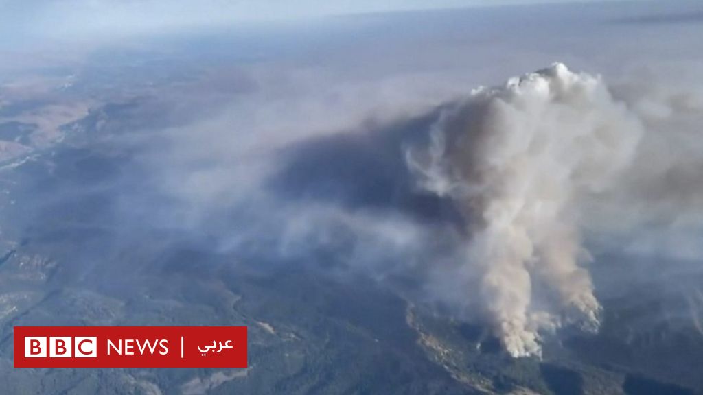 حرائق الغابات: تكنولوجيا جديدة من الجو لإخماد الحرائق أرضا