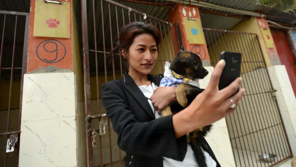 جامعة غلاسكو تجرب جهازاً خاصاً بالكلاب “كي لا تشعر بالوحدة”