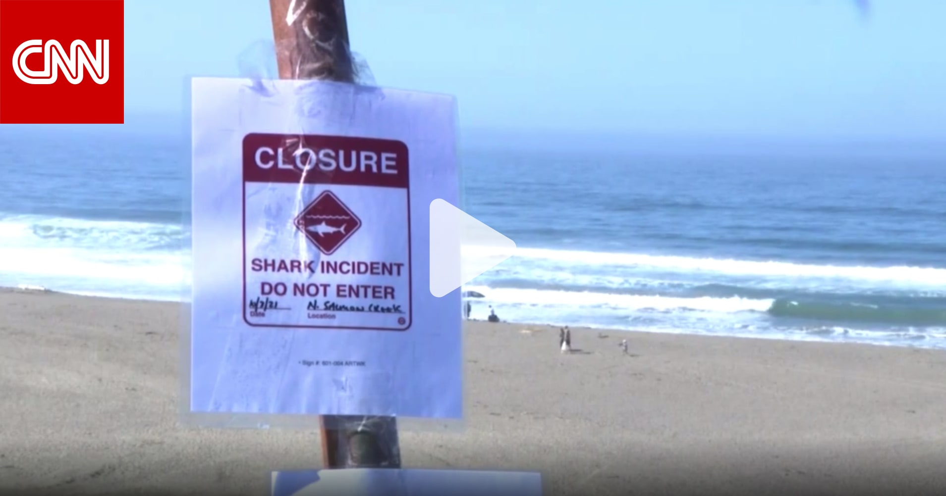 التهمته سمكة قرش فجأة.. أمريكي يواجه مصيرًا مرعبًا في مياه المحيط