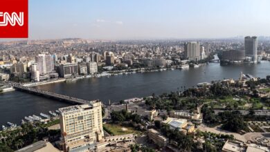 مصر.. تجار يعلقون على قرار الحكومة بوقف تصدير 8 سلع أساسية