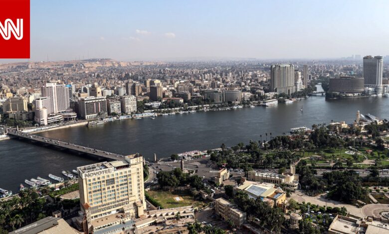 مصر.. تجار يعلقون على قرار الحكومة بوقف تصدير 8 سلع أساسية