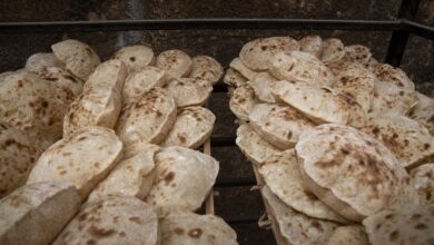 مصر..مركز البحوث الزراعية يدرس تطوير رغيف الخبز