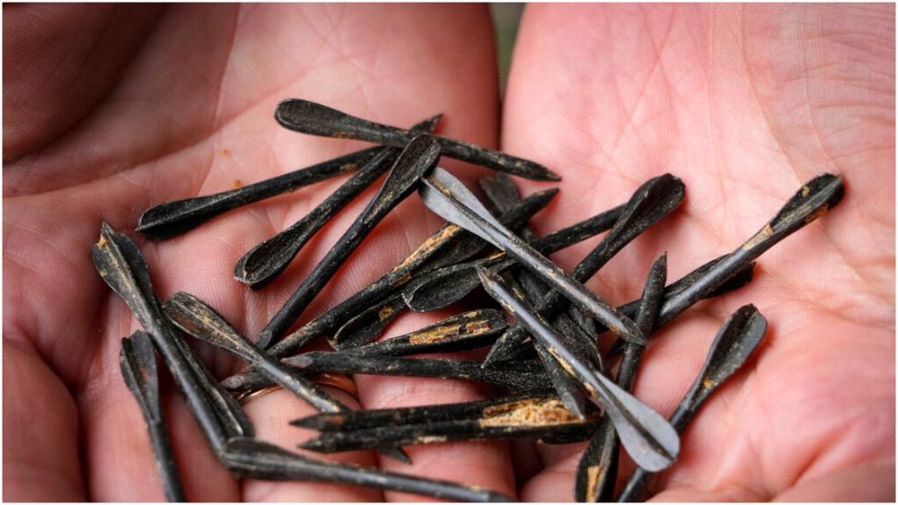 شاهد: تواصل أعمال إزالة الألغام في مدينة تشيرنيهيف الأوكرانية