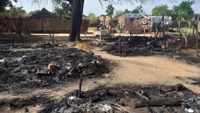 مقتل 168 على الأقل في أعمال عنف في غرب دارفور بالسودان