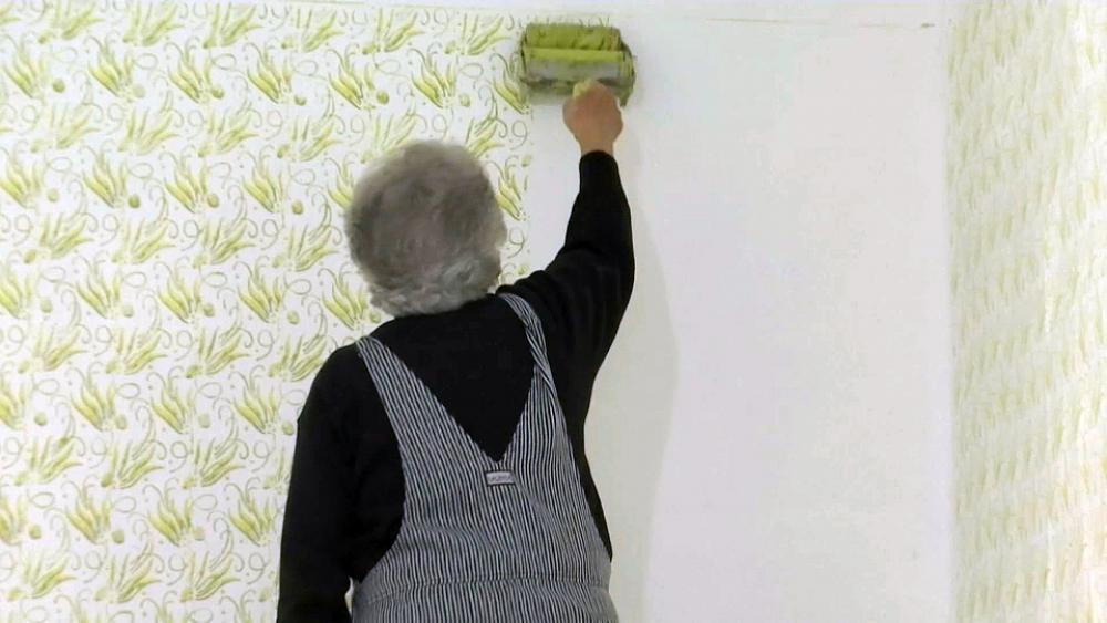 شاهد | جدة صربية تتابع ممارسة عملها في طلاء المنازل في عمر الـ76.. و”كل جدران القرية تعرفها”