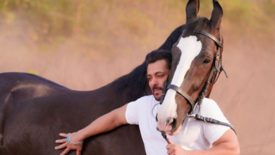 موعد فيلم سلمان خان الجديد