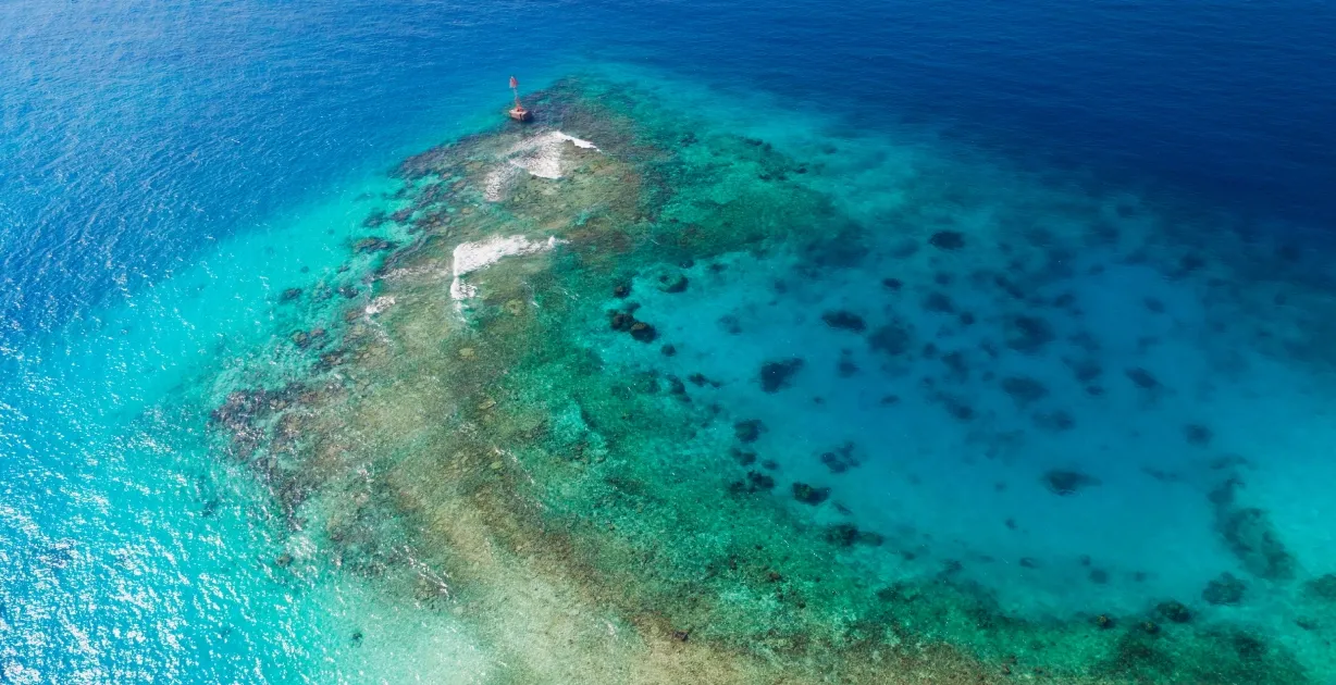 لؤلؤة المملكة العربية السعودية جزيرة المرجان في الدمام