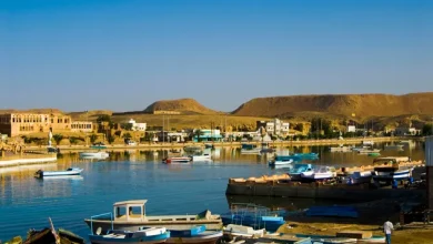 الإعلان عن أول كابل بحري من المملكة إلى جمهورية مصر العربية