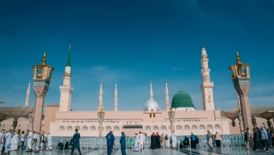 المملكة تسجل رقمًا قياسيًا في دخل السياحة الخارجية في 2024